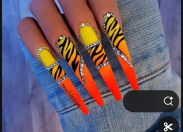 Orange Zebra Ombre Custom design